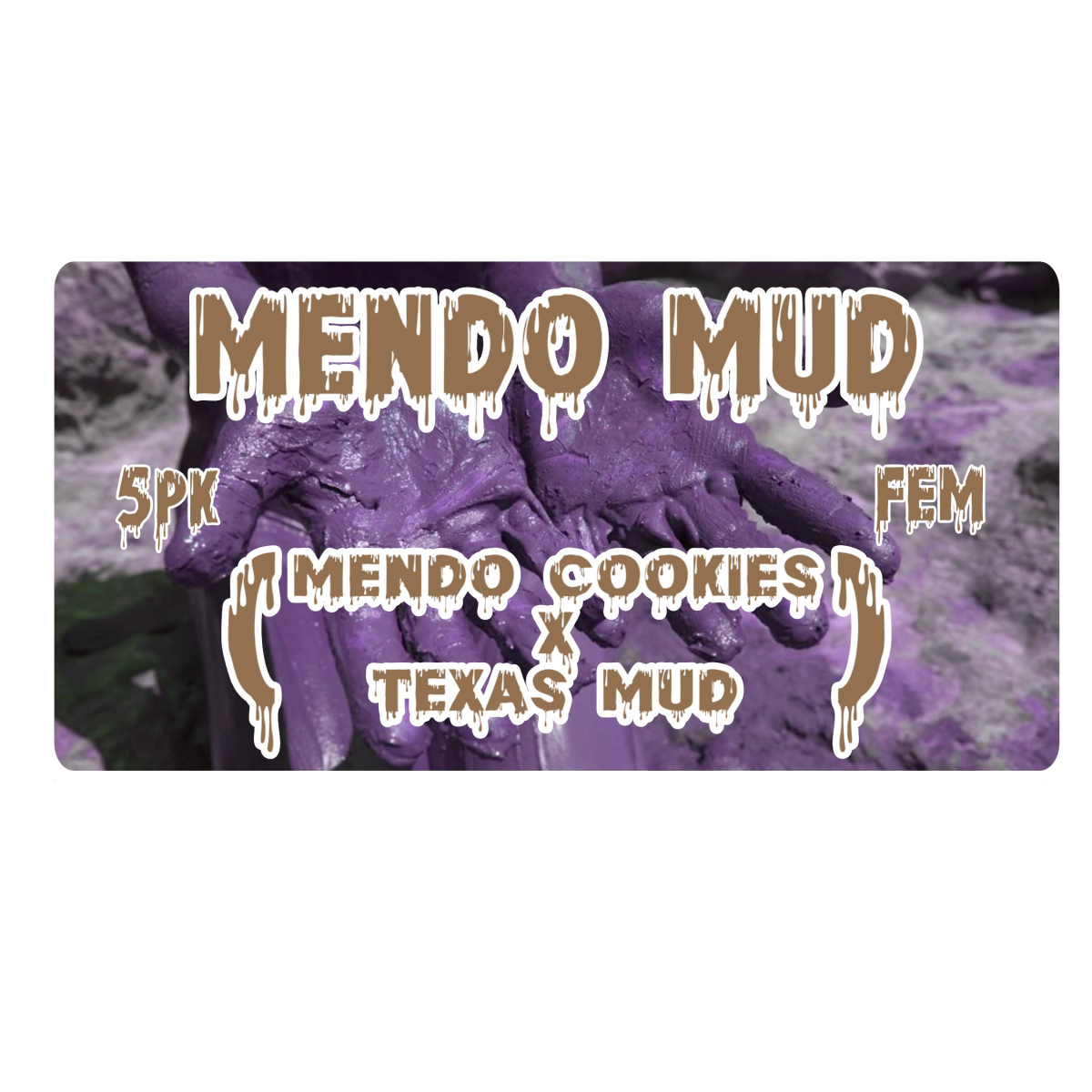 Mendo Mud